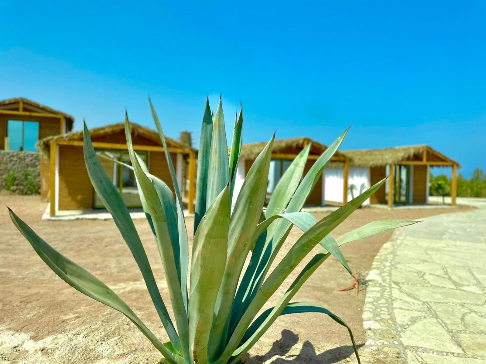 Ananda Beach Camp Nuweiba` Esterno foto
